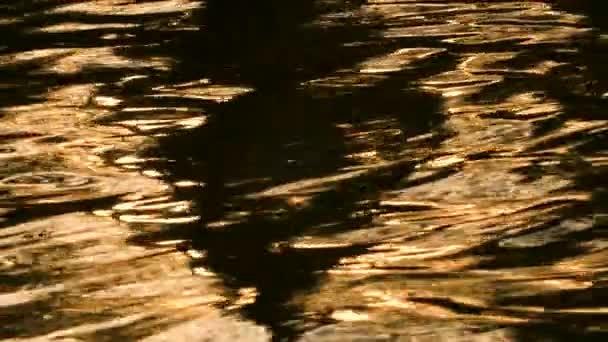 Abstrakte Natur Hintergrund Zeitlupe Videoclip Von Goldenem Licht Reflektiert Auf — Stockvideo