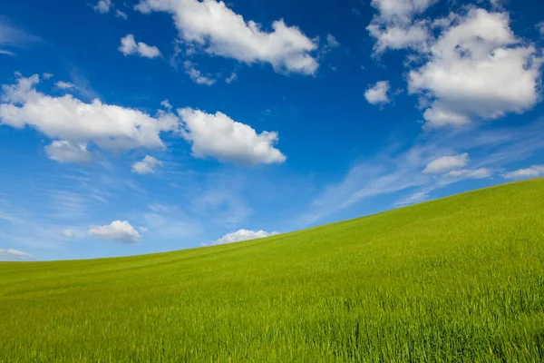 Campo Verde Con Una Collina Cielo Blu Con Nuvole — Foto Stock