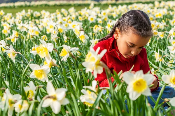 美しい若いですアフリカ系アメリカ人の混合人種の女の子座っているDaffodilsの分野で遊んで — ストック写真