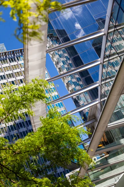 Reflexões Árvores Arquitetura Moderna Janelas Arranha Céus Cidade — Fotografia de Stock