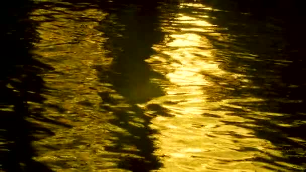 Abstract Nature Background Slow Motion Video Clip Golden Light Reflecting — Stock Video