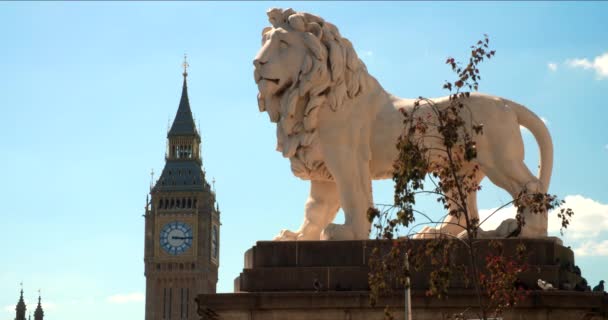Big Ben Casas Parlamento Estátua Leão Ponte Westminster Londres Inglaterra — Vídeo de Stock