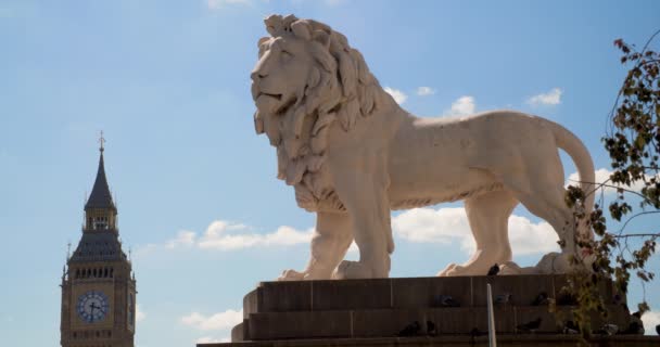 Big Ben Chambres Parlement Statue Lion Sur Pont Westminster Londres — Video