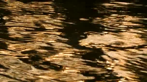 Soyut Doğa Arka Plan Yavaş Çekim Video Klip Deniz Göl — Stok video