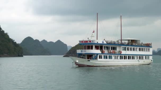Tourists Cruise Boats Long Bay Cat National Park North East — стокове відео