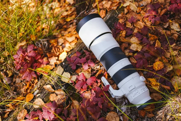 Gran lente gris de enfoque largo o teleobjetivo se encuentra en el tronco con hojas de otoño Fotos de stock