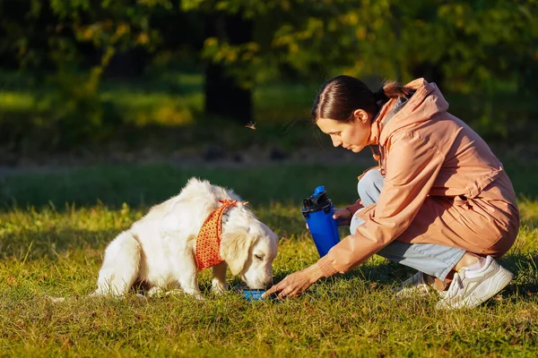Pembe yağmurluklu kız köpek parkındaki Golden Retriever köpeğine su veriyor.