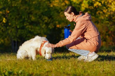 Pembe yağmurluklu kız köpek parkındaki Golden Retriever köpeğine su veriyor.