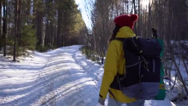 Randonneuse en chapeau rouge et veste de randonnée jaune avec grand sac à dos et thermos — Video