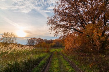 Gün batımında sonbahar yol