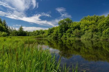 Küçük gölü olan yaz manzarası
