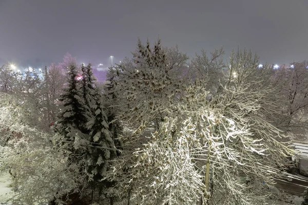 Árboles Cubiertos Nieve Ciudad Nocturna — Foto de Stock