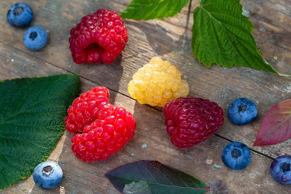 Böğürtlenli ve yaban mersinli hayat