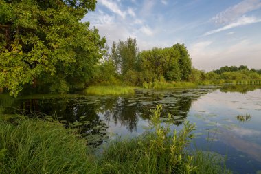 Gölün kenarında ılık bir yaz günü