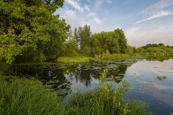 Gölün kenarında ılık bir yaz günü