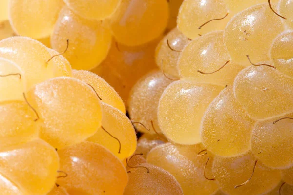 Amarelo Framboesa Berry Close — Fotografia de Stock