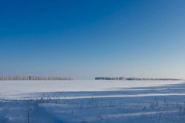 Tarlada güneşli bir gün