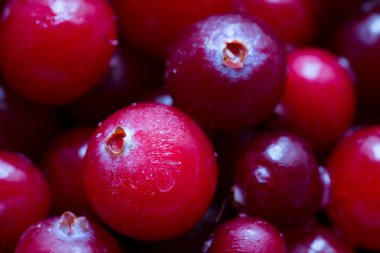 Taze donmuş yaban mersini böğürtlenleri.