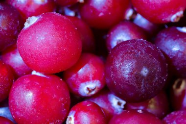 Taze donmuş kızılcık meyveleri yakın plan.