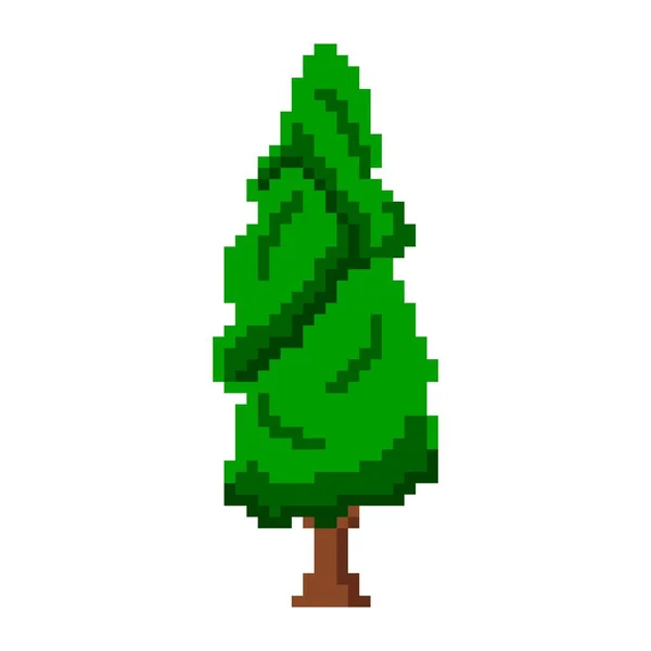 Υψηλή Πλούσια Pixel Thuja Ένα Αειθαλές Δέντρο Διακοσμητικό Επιμήκη Στέμμα — Διανυσματικό Αρχείο