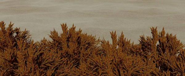 Yellowed bushes in desert background. Waves of sand dunes with withered plants from 3d render of heat. Hot landscape of arid sunny natural park