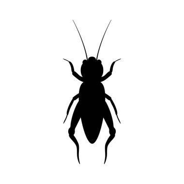 Black silhouette of cricket. Realistic orthopteran insect with long antennae. Monochrome beetle emitting loud vector chirp