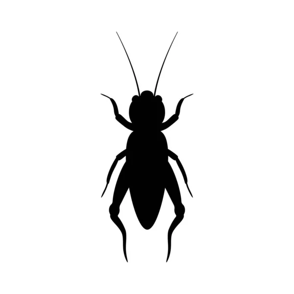 Black Silhouette Cricket Realistic Orthopteran Insect Long Antennae Monochrome Beetle — 스톡 벡터
