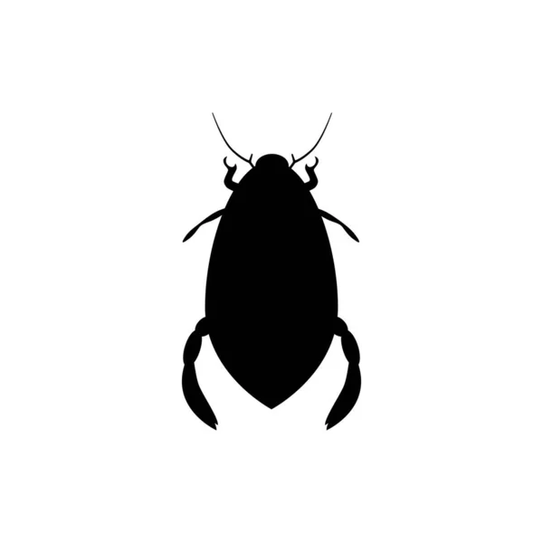 Black Silhouette Water Beetle Predatory Large Swimmer Living Hunting Aquatic — 스톡 벡터