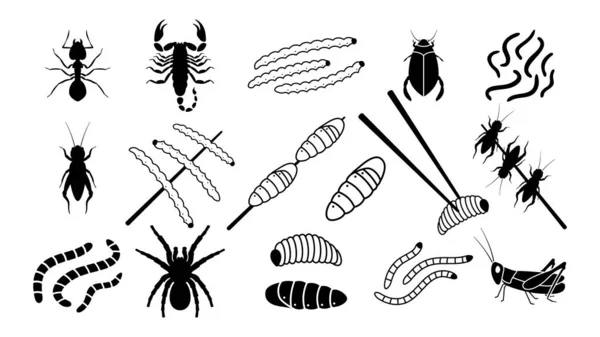 Edible Insects Set Organic Black Ants Salt Dried Crickets Stick — Stock Vector