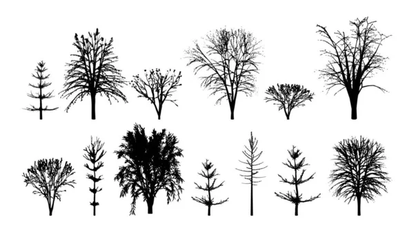 Black Silhouettes Trees Set Majestic Alder Young Firs Realistic Maple — Vector de stock