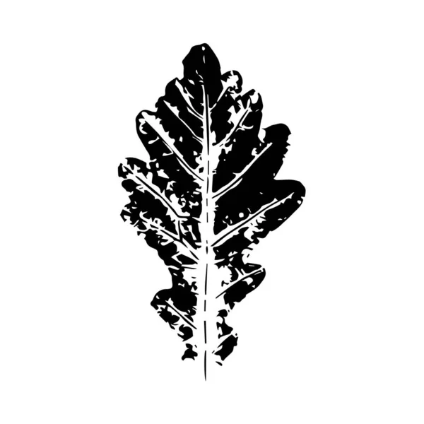 Empreinte Noire Feuille Chêne Décoration Botanique Avec Veines Éléments Feuillage — Image vectorielle