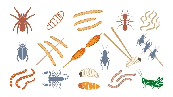 먹음직 스러운 색깔의 곤충들 집합한다 개미는 과말린 귀뚜라미를 막대기에 매달아 — 스톡 벡터