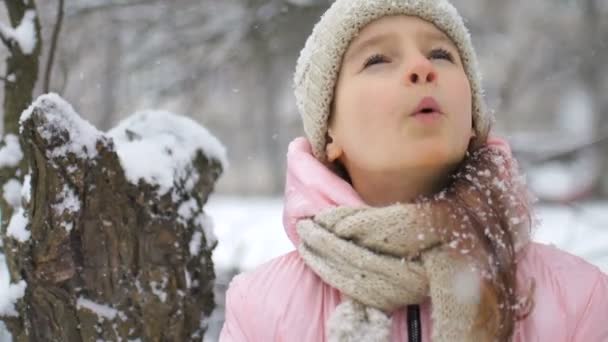 Retrato de invierno de una niña en abrigo rosa con sombrero beige y manoplas jugando al aire libre en el bosque invernal nevado y soplando nieve. Feliz infancia y concepto de vacaciones activas — Vídeo de stock
