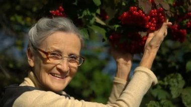 Mutlu, güzel, son sınıf güzeli kadın elinde kırmızı gül ya da viburum meyveleri tutuyor ve onları ağacın yanındaki bahçede gösteriyor. Mutlu emeklilikler..
