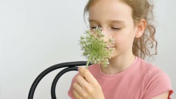 夏天的时候，小女孩手拿鲜花坐在家里打喷嚏、过敏、哮喘或过敏. — 图库视频影像