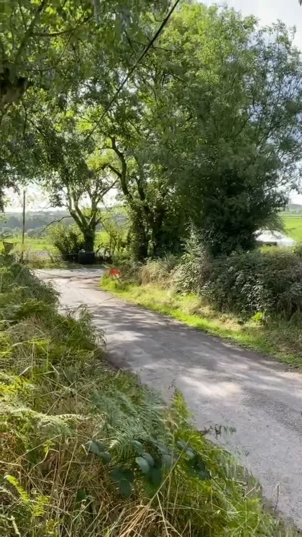 Irland, County Cork, Ballynnoe - September, 19, 2021 - Auto racing, rally bil på banan, vertikal video — Stockvideo