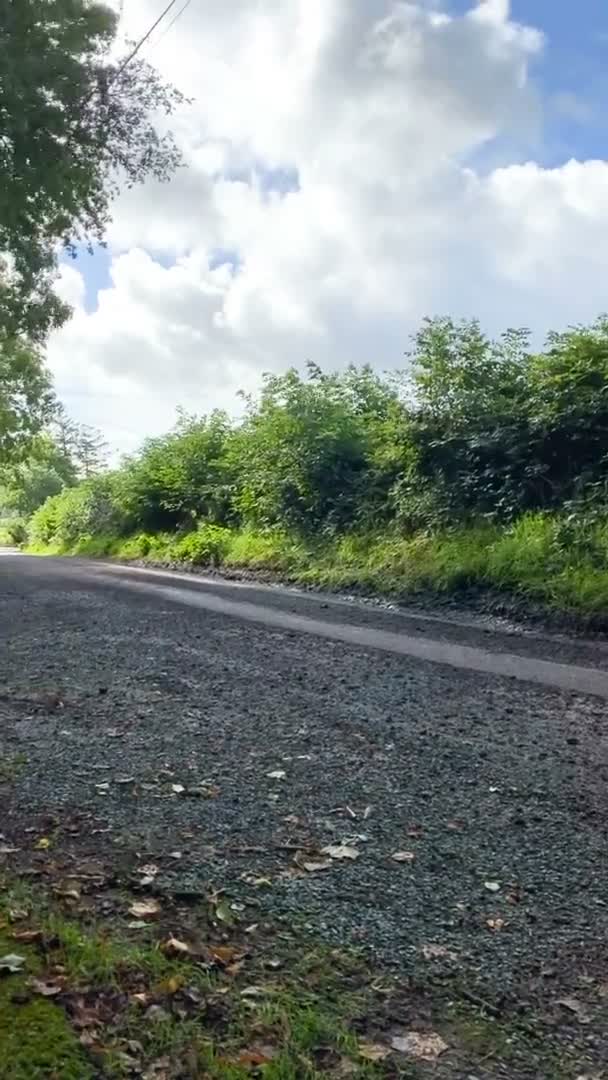 Írország, County Cork, Ballynnoe - szeptember, 19, 2021 - Autóverseny, rally autó a pályán, függőleges videó — Stock videók