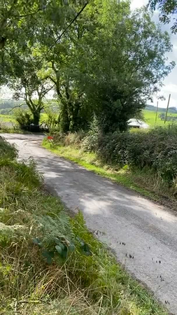 Irlanda, Condado de Cork, Ballynnoe - 19 de septiembre de 2021 - Carreras automovilísticas, rally car en la pista, vídeo vertical — Vídeo de stock