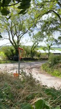 İrlanda, County Cork, Ballynnoe - 19 Eylül 2021 - Otomobil yarışı, ralli arabası, dikey video