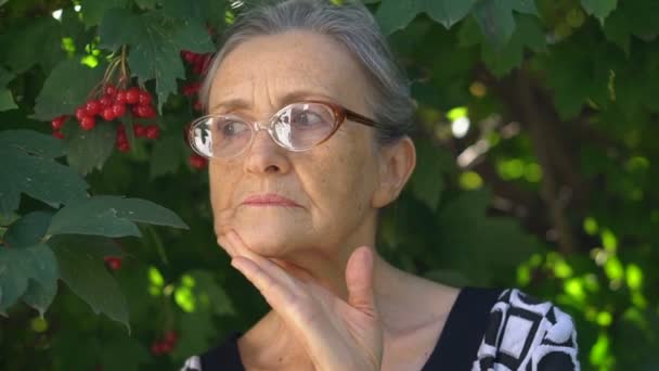 Retrato de cerca de una anciana madura disgustada con anteojos arrepintiéndose de algo y sosteniendo sus manos cerca de la cabeza. Emoción negativa, expresión facial, sentimiento — Vídeos de Stock