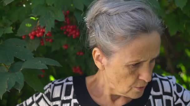 Retrato femenino de abuela seria e insatisfecha con pelo gris y cara con arrugas al aire libre parada cerca del árbol con hojas verdes y bayas rojas, día de la madre, retiro — Vídeo de stock