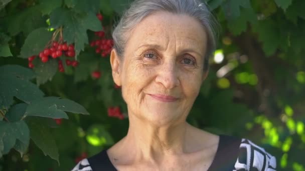 Vacker gammal mormor med grått hår och ansikte med rynkor tittar på kameran med leende och glädje på grönt träd bakgrund, mödrar dag, glad pensionering — Stockvideo