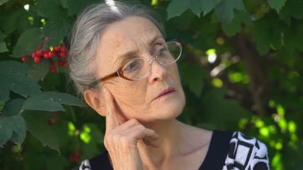 Close-up portret van overstuur senior volwassen vrouw in bril spijt over iets en houdt haar handen dicht bij het hoofd. Negatieve emotie, gezichtsuitdrukking, gevoel — Stockvideo