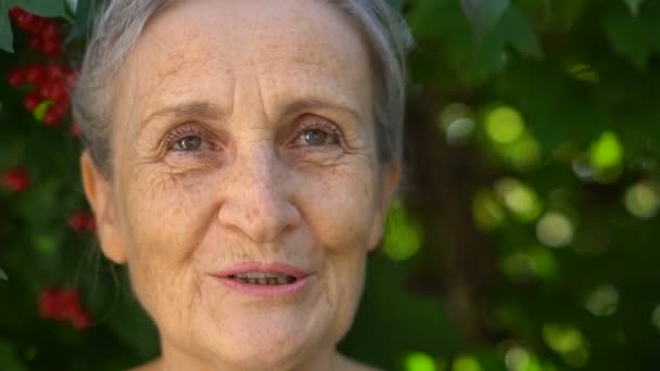 美丽的老祖母，白发苍苍，满脸皱纹，面带微笑，在绿树成荫的背景下快乐地看着相机，母亲节，快乐地退休 — 图库视频影像