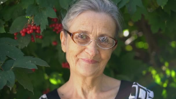 Gri saçlı ve kırışık yüzlü güzel yaşlı büyükanne yeşil ağaç arka planında gülümseme ve mutlulukla kameraya bakıyor. Anneler Günü, mutlu emeklilik. — Stok video