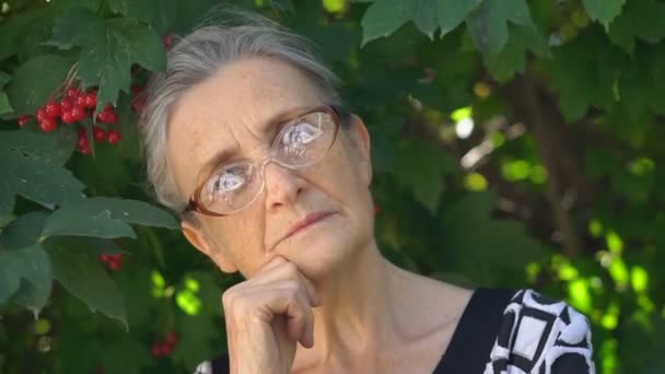 Closeup portrait of upset senior mature woman in eyeglasses regreting about something and holding her hands near the head. Negative emotion, facial expression, feeling — Stock Video