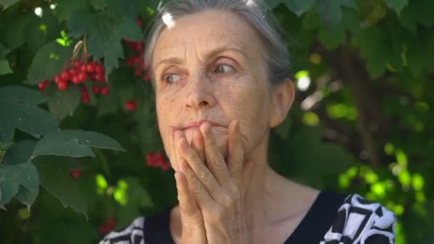 Retrato de cerca de una anciana madura disgustada lamentándose de algo y sosteniendo sus manos cerca de la cabeza. Emoción negativa, expresión facial, sentimiento — Vídeo de stock