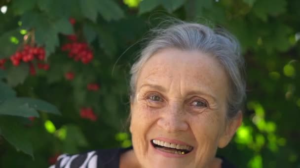 Hermosa abuela de edad con el pelo gris y la cara con arrugas está mirando a la cámara con sonrisa y felicidad en el fondo del árbol verde, día de las madres, feliz jubilación — Vídeo de stock