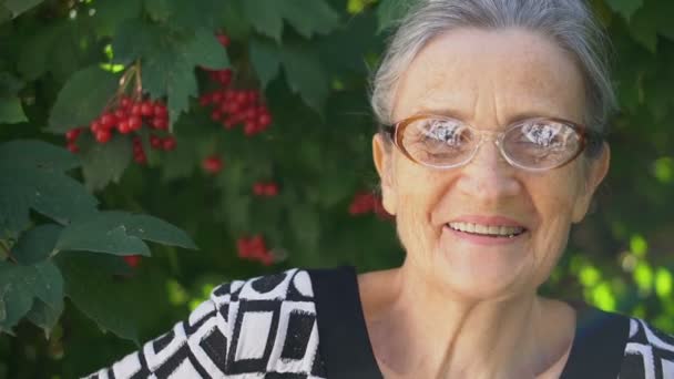 Belle vieille grand-mère aux cheveux gris et visage ridé regarde la caméra avec sourire et bonheur sur fond d'arbre vert, fête des mères, retraite heureuse — Video