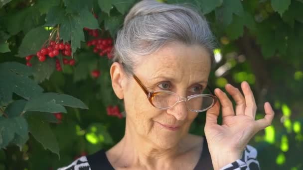 Gyönyörű öreg nagymama ősz haj és arc ráncok visel szemüveg grimaszol és mosolyog a zöld fa háttér, anyák napja, boldog nyugdíjba vonulás — Stock videók
